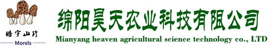 &#80;&#71;&#45;&#80;&#71;&#40;&#20013;&#22269;&#41;&#19968;&#31449;&#24335;&#26381;&#21153;&#23448;&#26041;&#32593;&#31449;