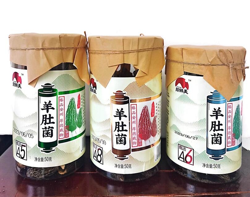 &#80;&#71;&#45;&#80;&#71;&#40;&#20013;&#22269;&#41;&#19968;&#31449;&#24335;&#26381;&#21153;&#23448;&#26041;&#32593;&#31449;