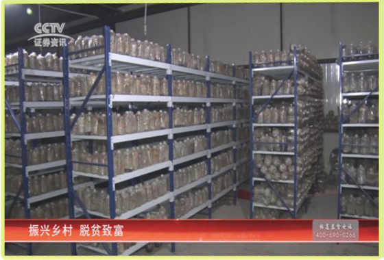 &#80;&#71;&#45;&#80;&#71;&#40;&#20013;&#22269;&#41;&#19968;&#31449;&#24335;&#26381;&#21153;&#23448;&#26041;&#32593;&#31449;