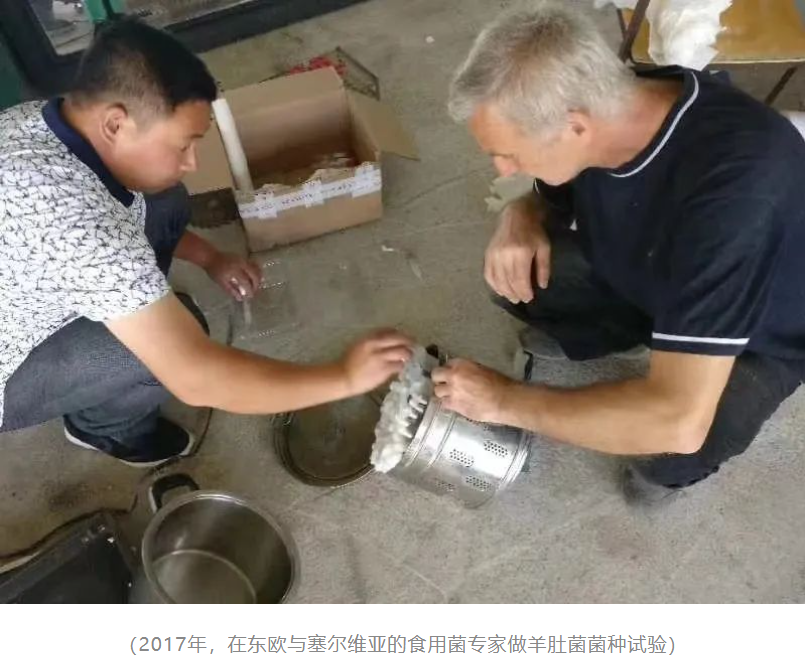 &#80;&#71;&#45;&#80;&#71;&#40;&#20013;&#22269;&#41;&#19968;&#31449;&#24335;&#26381;&#21153;&#23448;&#26041;&#32593;&#31449;