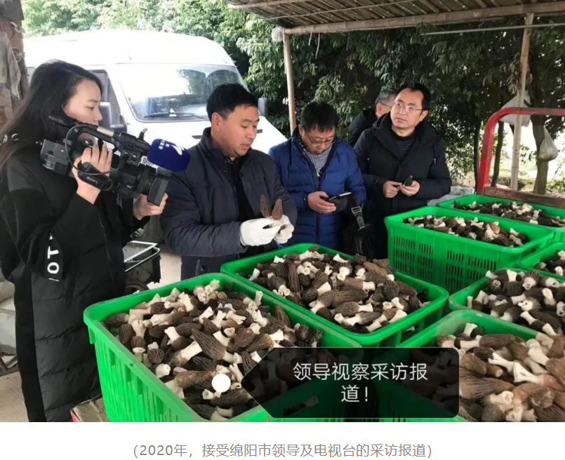 &#80;&#71;&#45;&#80;&#71;&#40;&#20013;&#22269;&#41;&#19968;&#31449;&#24335;&#26381;&#21153;&#23448;&#26041;&#32593;&#31449;