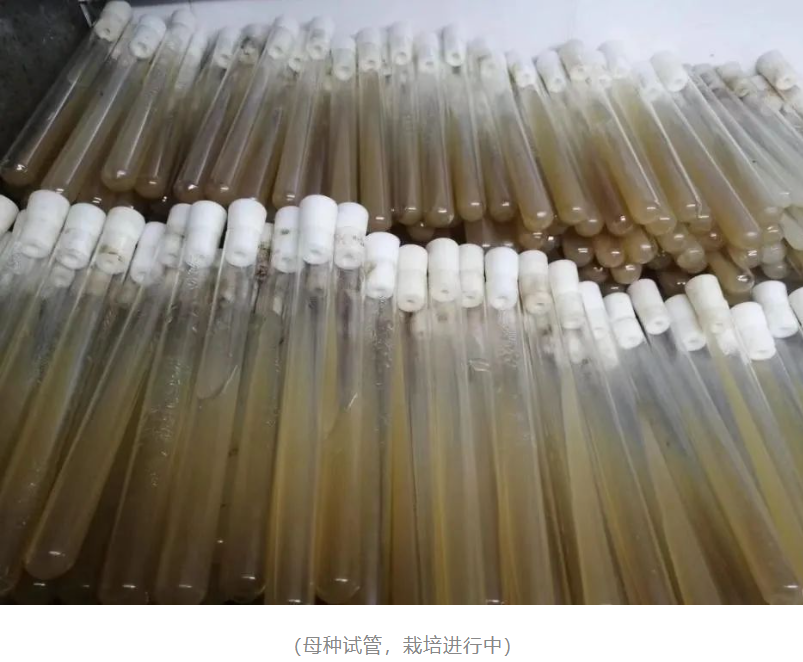 &#80;&#71;&#45;&#80;&#71;&#40;&#20013;&#22269;&#41;&#19968;&#31449;&#24335;&#26381;&#21153;&#23448;&#26041;&#32593;&#31449;